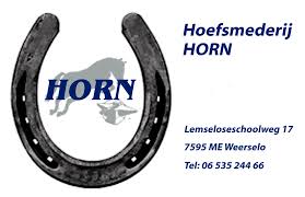 logo horn